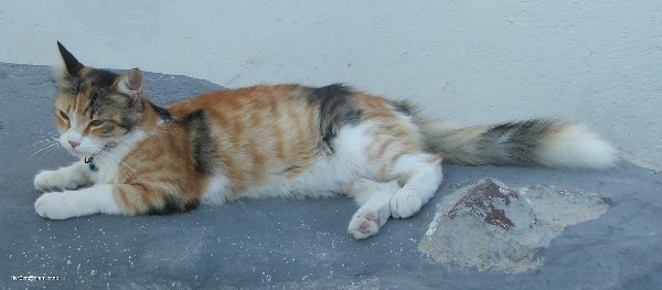 0150.JPG