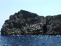 0084.JPG