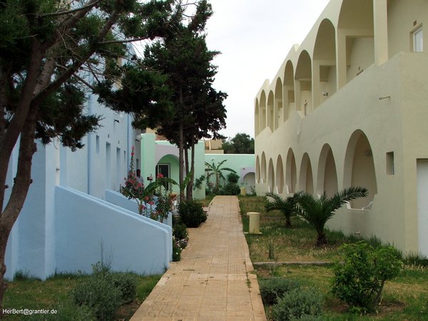 04.jpg