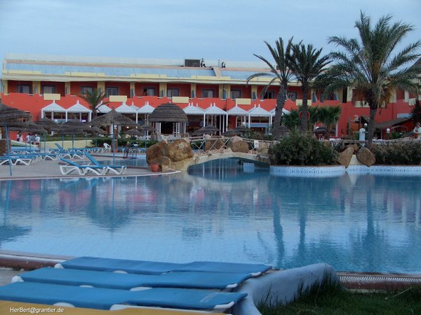 08.jpg